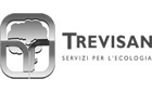 Trevisan